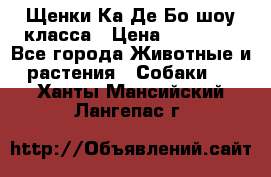 Щенки Ка Де Бо шоу класса › Цена ­ 60 000 - Все города Животные и растения » Собаки   . Ханты-Мансийский,Лангепас г.